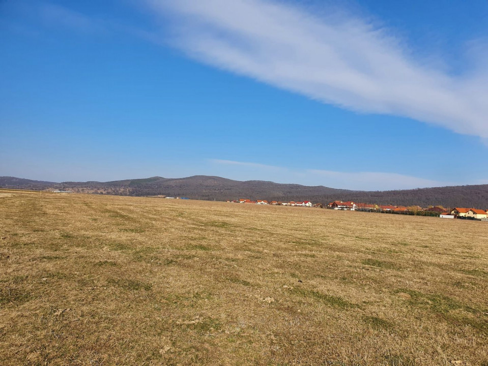 Teren extravilan-5.000 mp-Sura Mică.