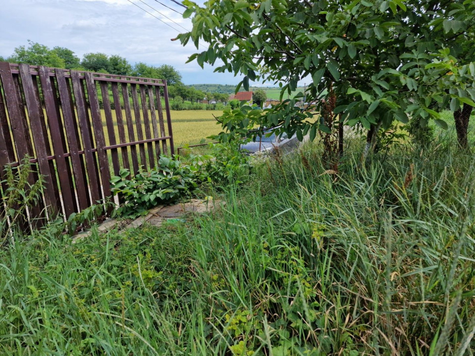 Teren intravilan construcții in Șura Mare.