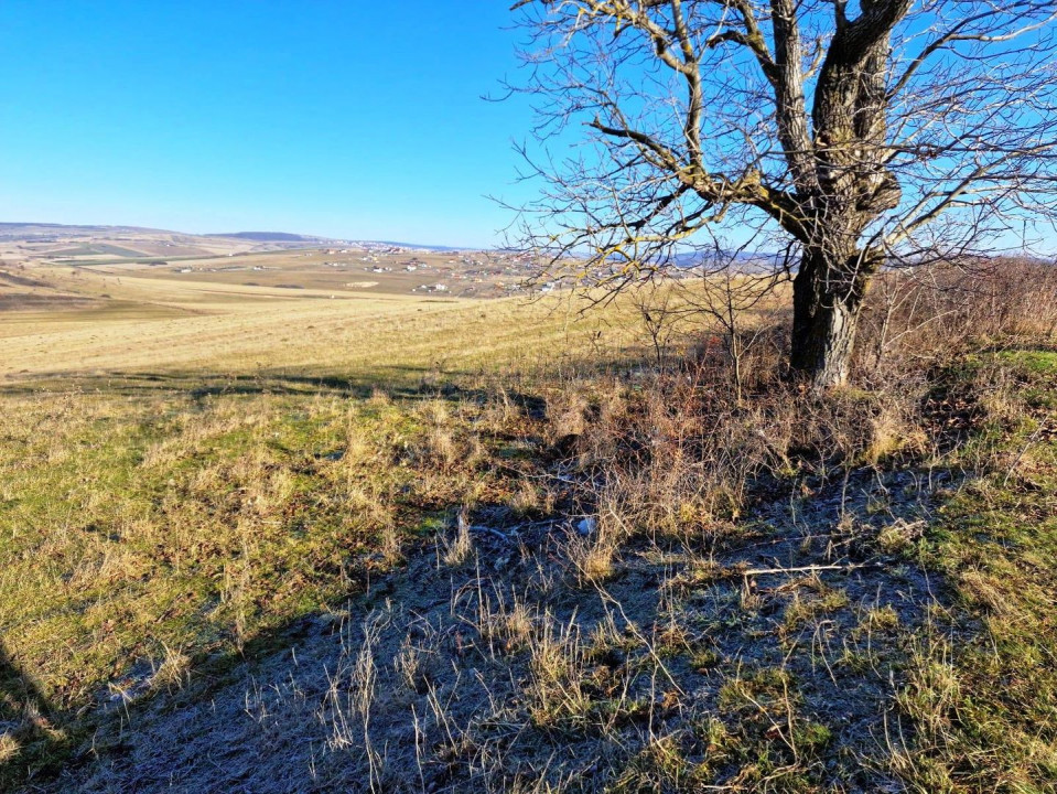 Teren extravilan-Dealul Sibiului