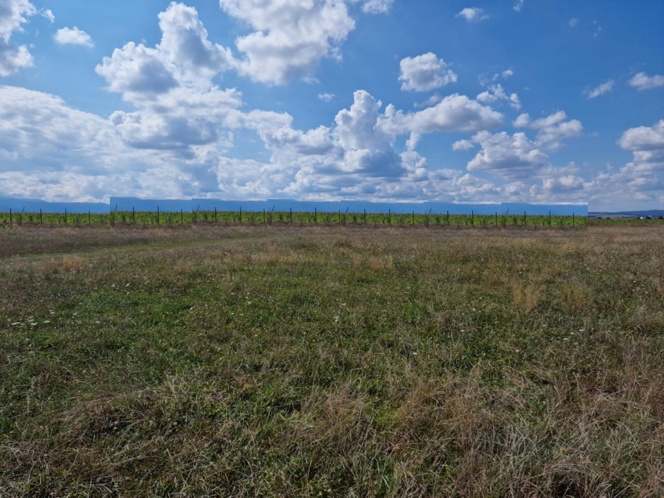 Teren de vânzare , zona Ind.de Vest-Sibiu!!