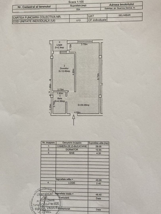 Apartament nou, Doamna Stanca-Selimbăr.